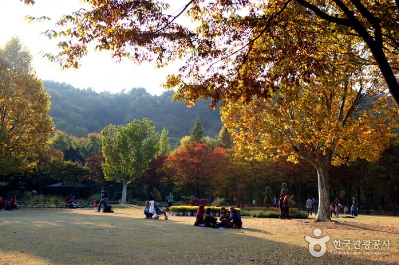 Daegu Arboretum  (4/4)