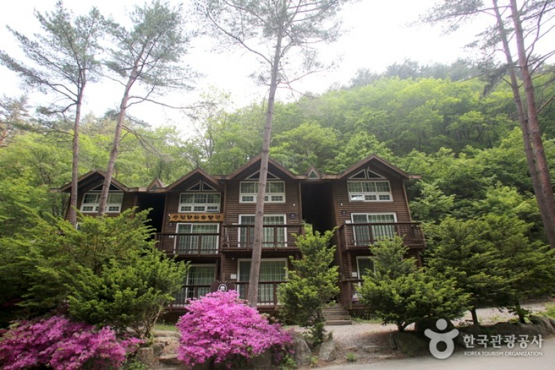 Bangtaesan Recreational Forest  (19/23)