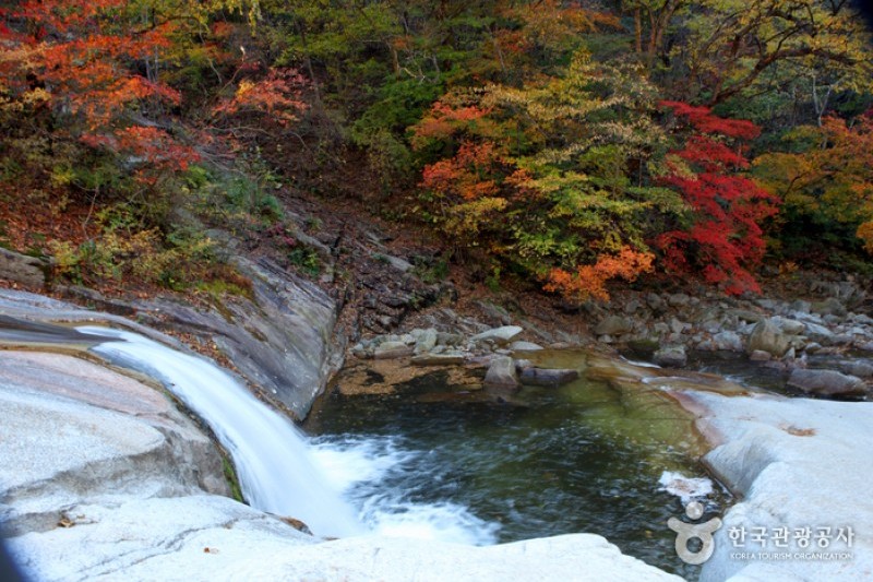 Bangtaesan Recreational Forest  (20/23)