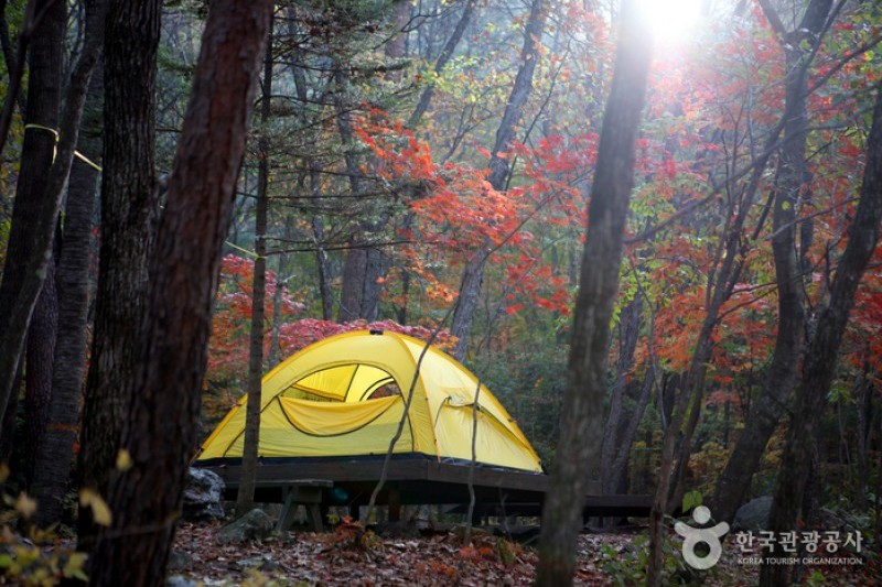 Bangtaesan Recreational Forest  (21/23)