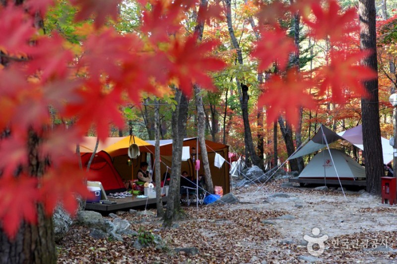 Bangtaesan Recreational Forest  (22/23)