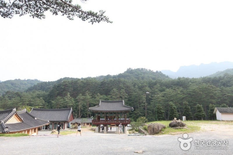 Beopheungsa Temple  (17/17)