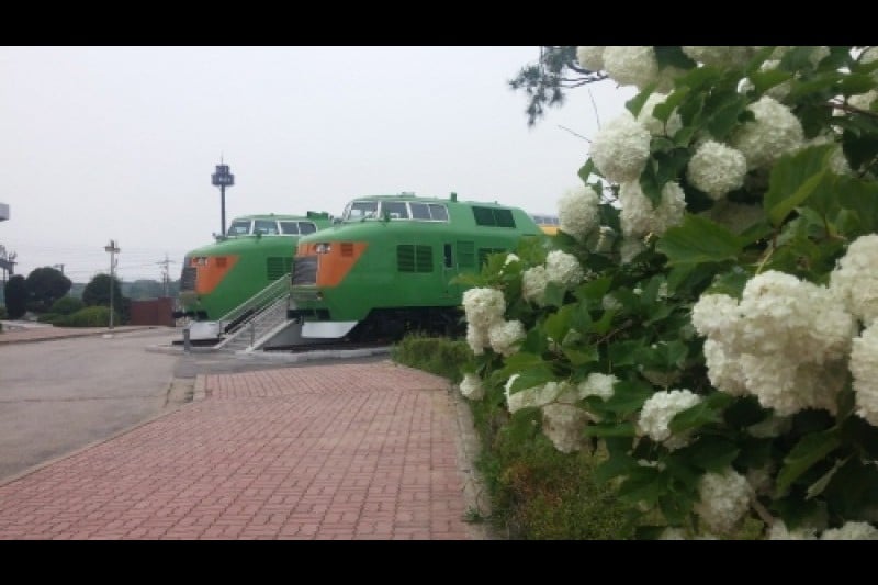 Railroad Museum  (21/24)