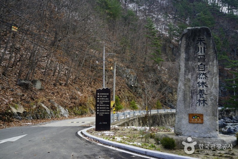 Micheongol Natural Recreation Forest  (9/12)