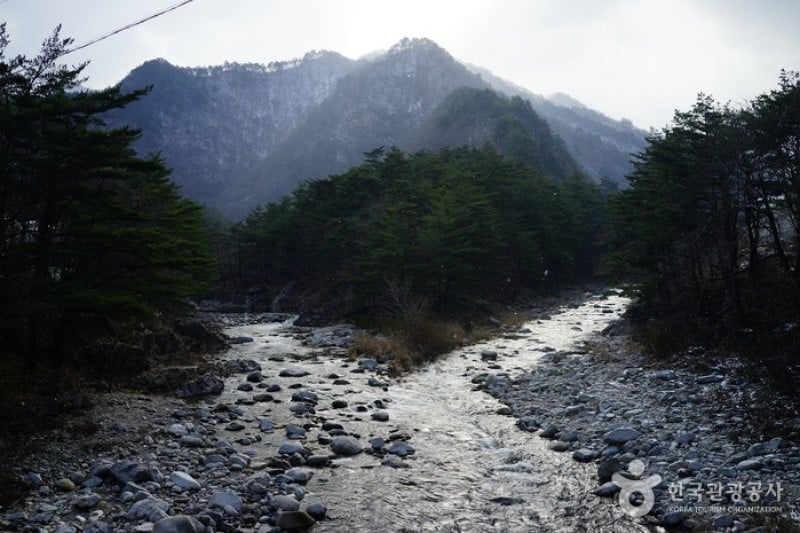 Micheongol Natural Recreation Forest  (12/12)