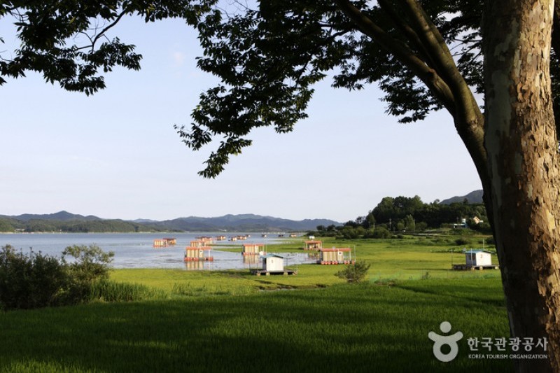 Muhancheon Stream  (18/19)