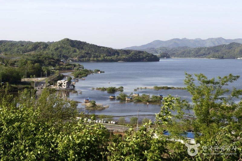 Muhancheon Stream  (19/19)