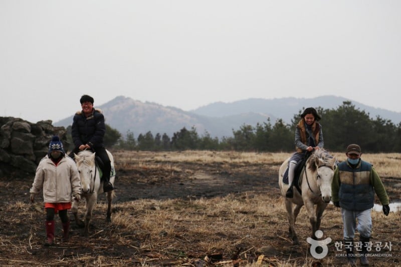 Jeju Horse Park  (18/18)