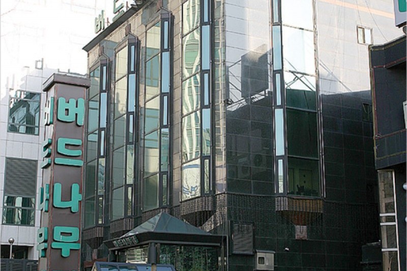Budnamujip - Main Branch  (1/11)
