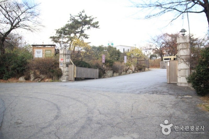 Bearhouse  (4/5)