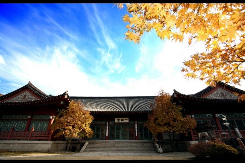 Samcheonggak (7/10)