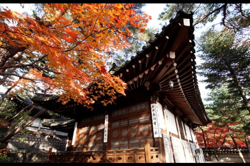Samcheonggak (9/10)