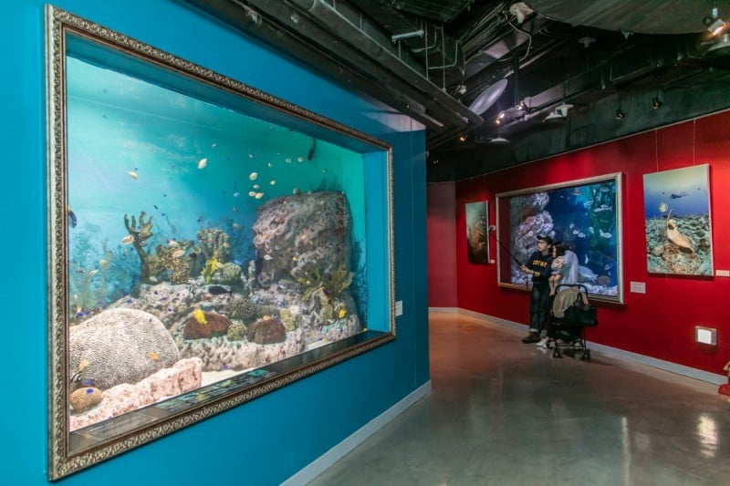 COEX Aquarium (5/8)