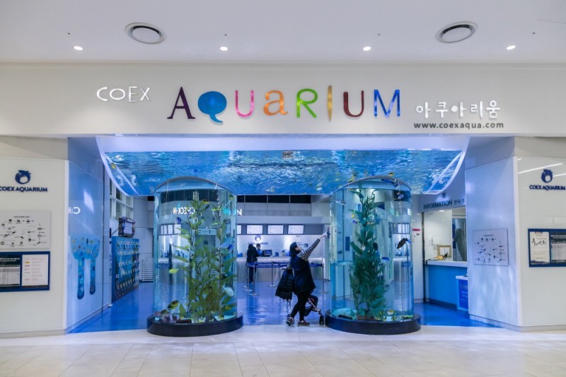 COEX Aquarium (6/8)