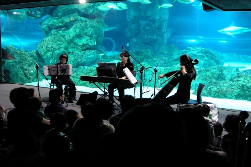 COEX Aquarium (7/8)