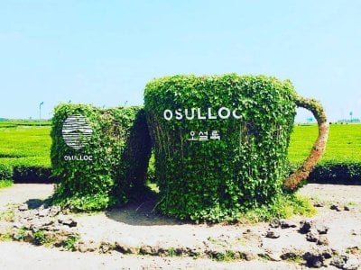 O’sulloc Museum