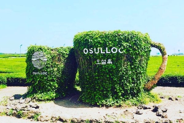 O’sulloc Museum