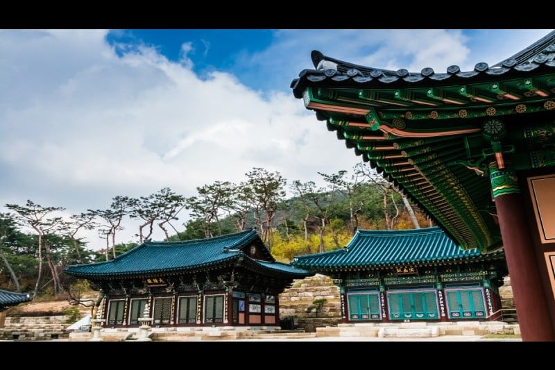 Jingwansa Temple  (10/11)