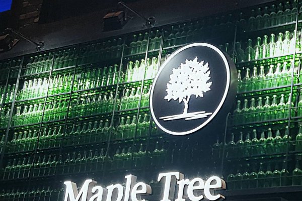 Maple Tree House(Danpungnamujip)