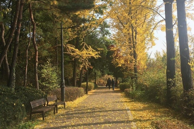 Namsan Park - Seoul  (17/29)