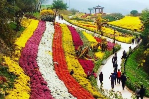 Namsan Park - Seoul 