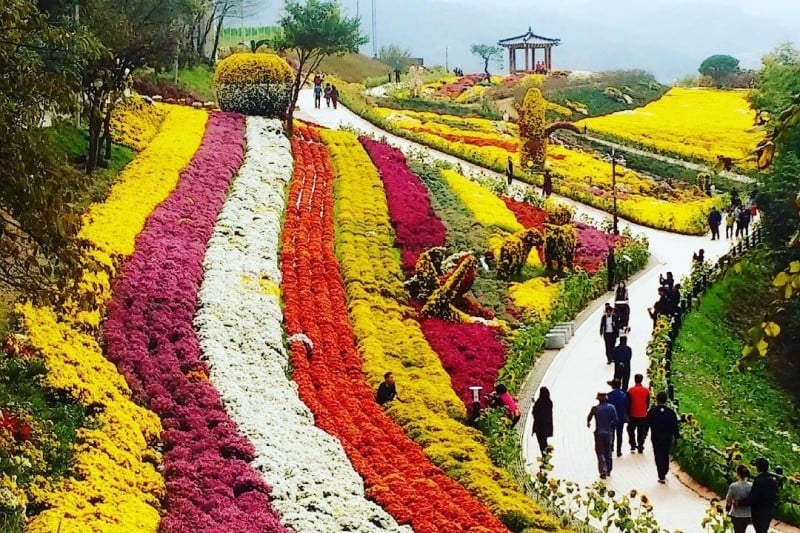 Namsan Park - Seoul  (18/29)