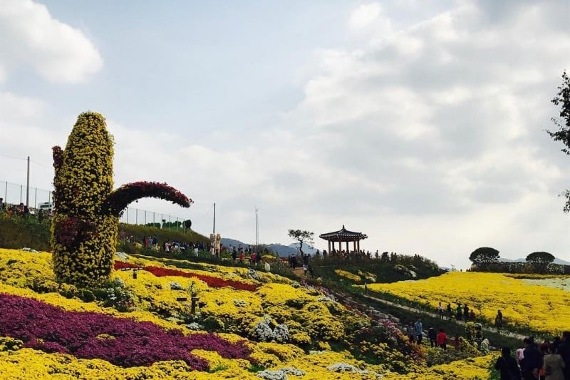 Namsan Park - Seoul  (19/29)
