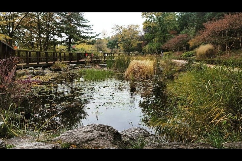 Namsan Park - Seoul  (20/29)