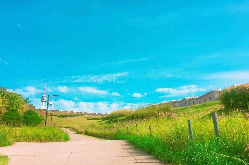 Namsan Park - Seoul  (29/29)