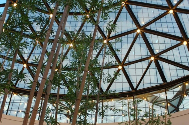 63 Buffet Pavilion  (8/14)