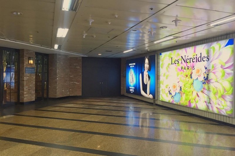 Hyundai Department Store - Apgujeong Branch (Main store)  (5/13)