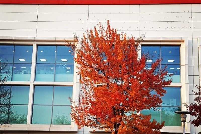 Home Plus - Dongdaemun Branch  (7/8)