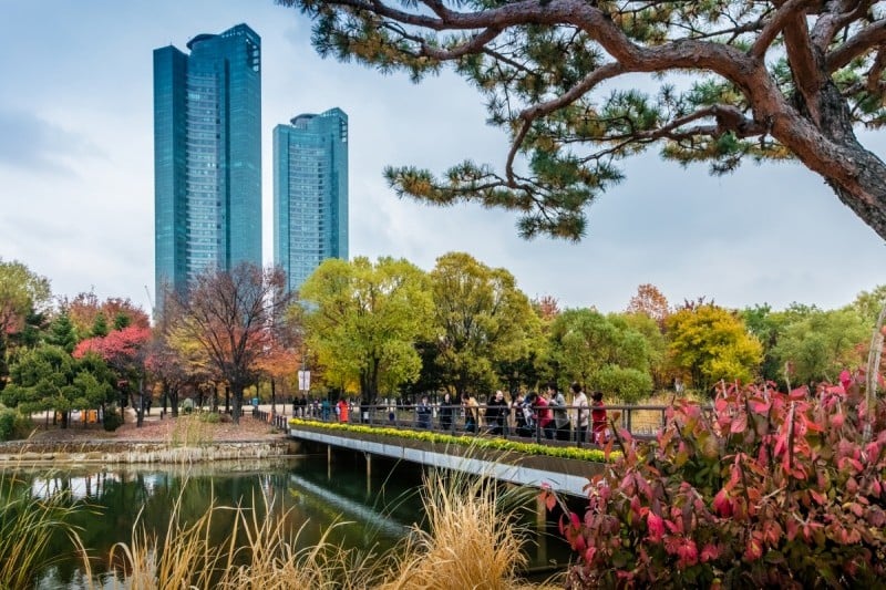 Seoul Forest (31/34)