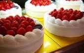 Mammoth Bakery 