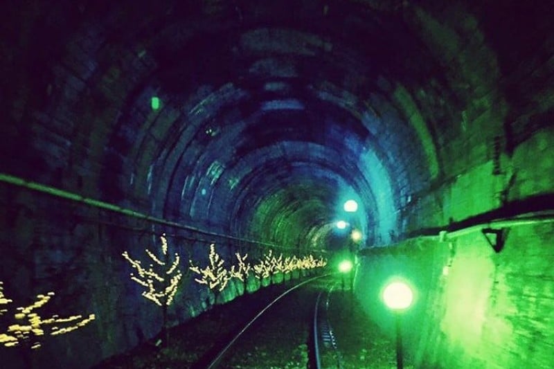 Yangpyeong Rail Bike  (10/14)