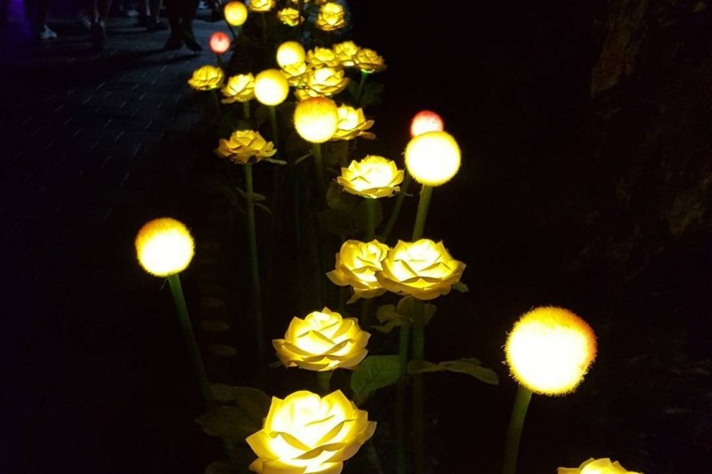 Gwangmyeong Cave  (11/14)