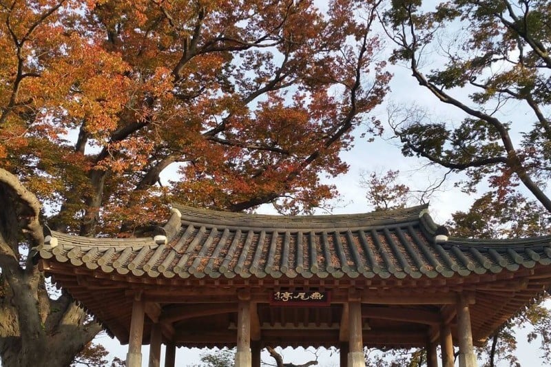 Yeonmijeong Pavilion  (7/11)