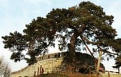 Chojijin Fortress 