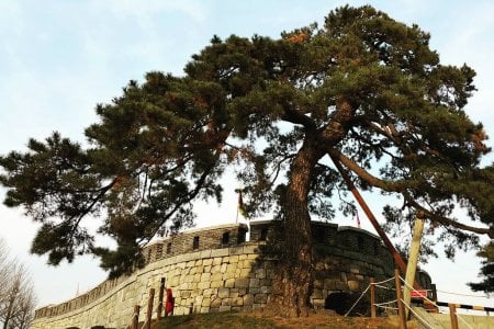 Chojijin Fortress 