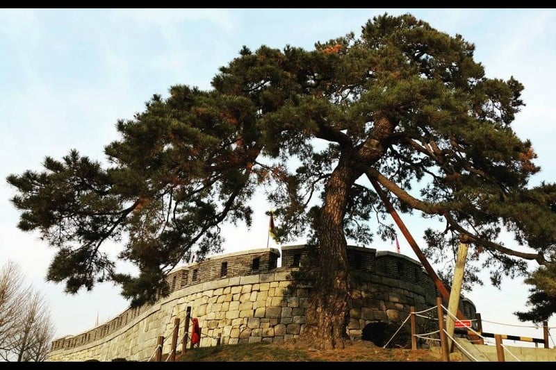 Chojijin Fortress  (20/20)