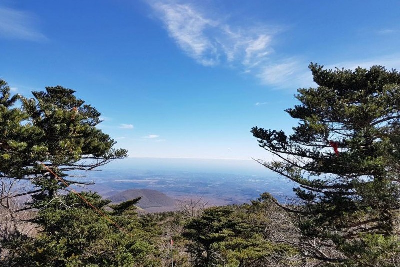 Hallasan National Park [UNESCO World Heritage]  (8/19)