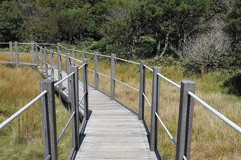 Hallasan National Park [UNESCO World Heritage]  (10/19)
