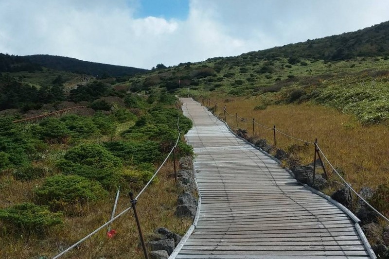 Hallasan National Park [UNESCO World Heritage]  (11/19)
