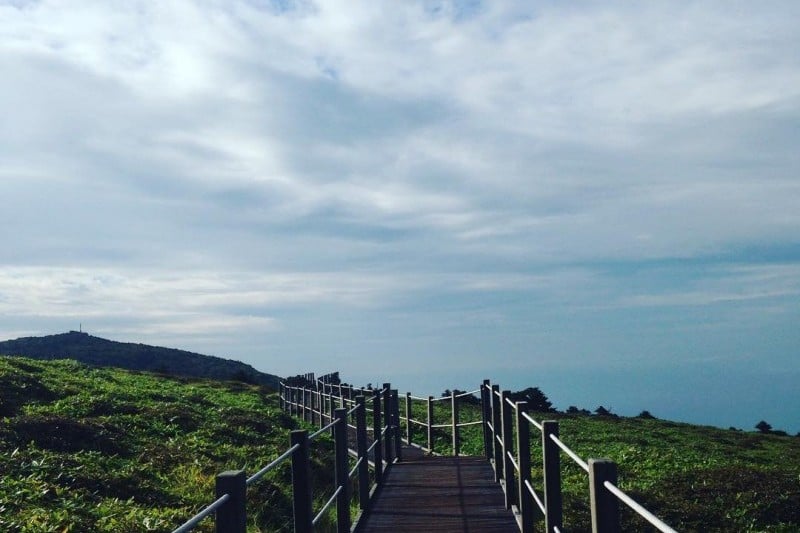 Hallasan National Park [UNESCO World Heritage]  (15/19)