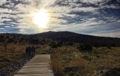 Hallasan National Park [UNESCO World Heritage] 