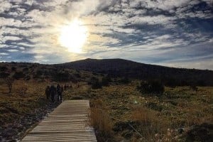 Hallasan National Park [UNESCO World Heritage] 