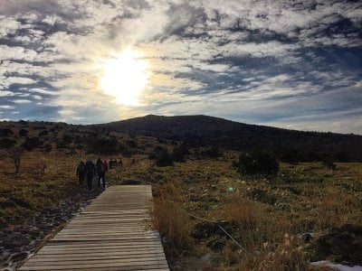 Hallasan National Park [UNESCO World Heritage]