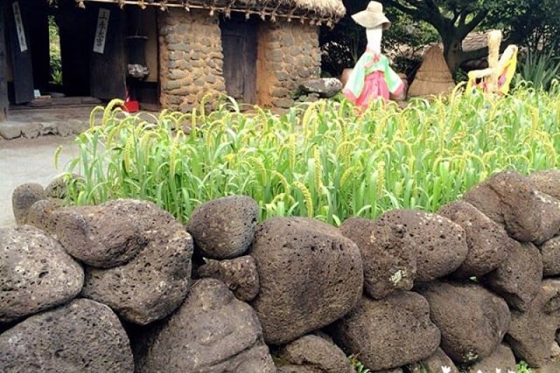 Jeju Folk Village Museum  (22/24)