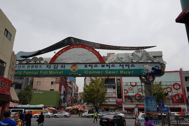 Jagalchi Market  (8/25)