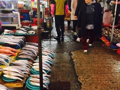 Jagalchi Market